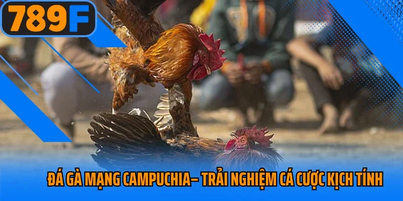 Đá Gà Mạng Campuchia